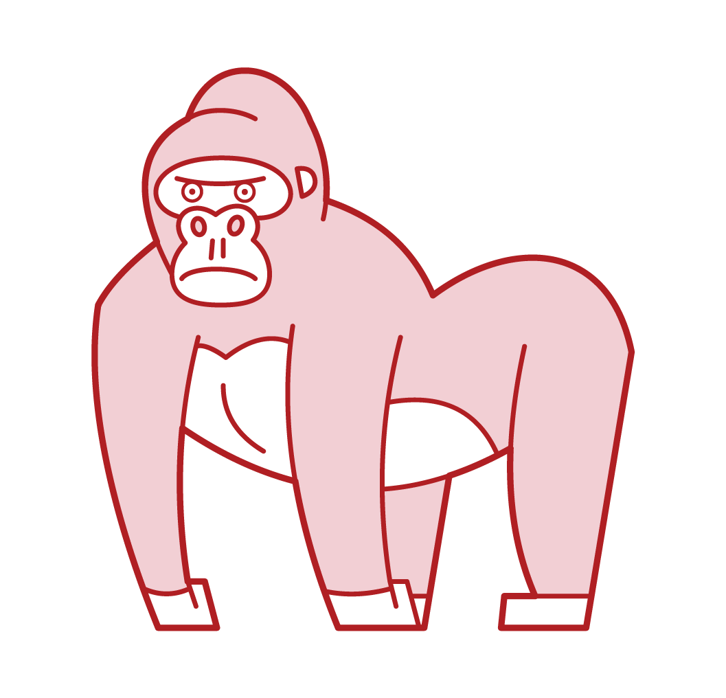 Gorilla Illustration