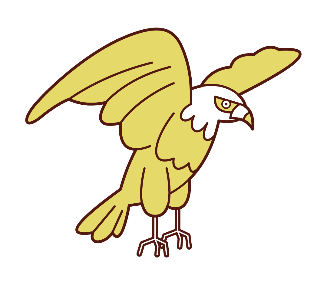 羽を広げる鷹のイラスト