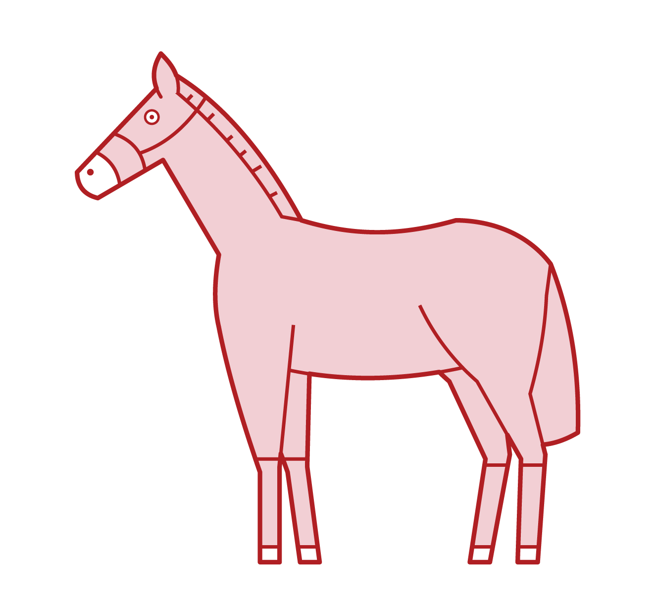 Horse Illustration