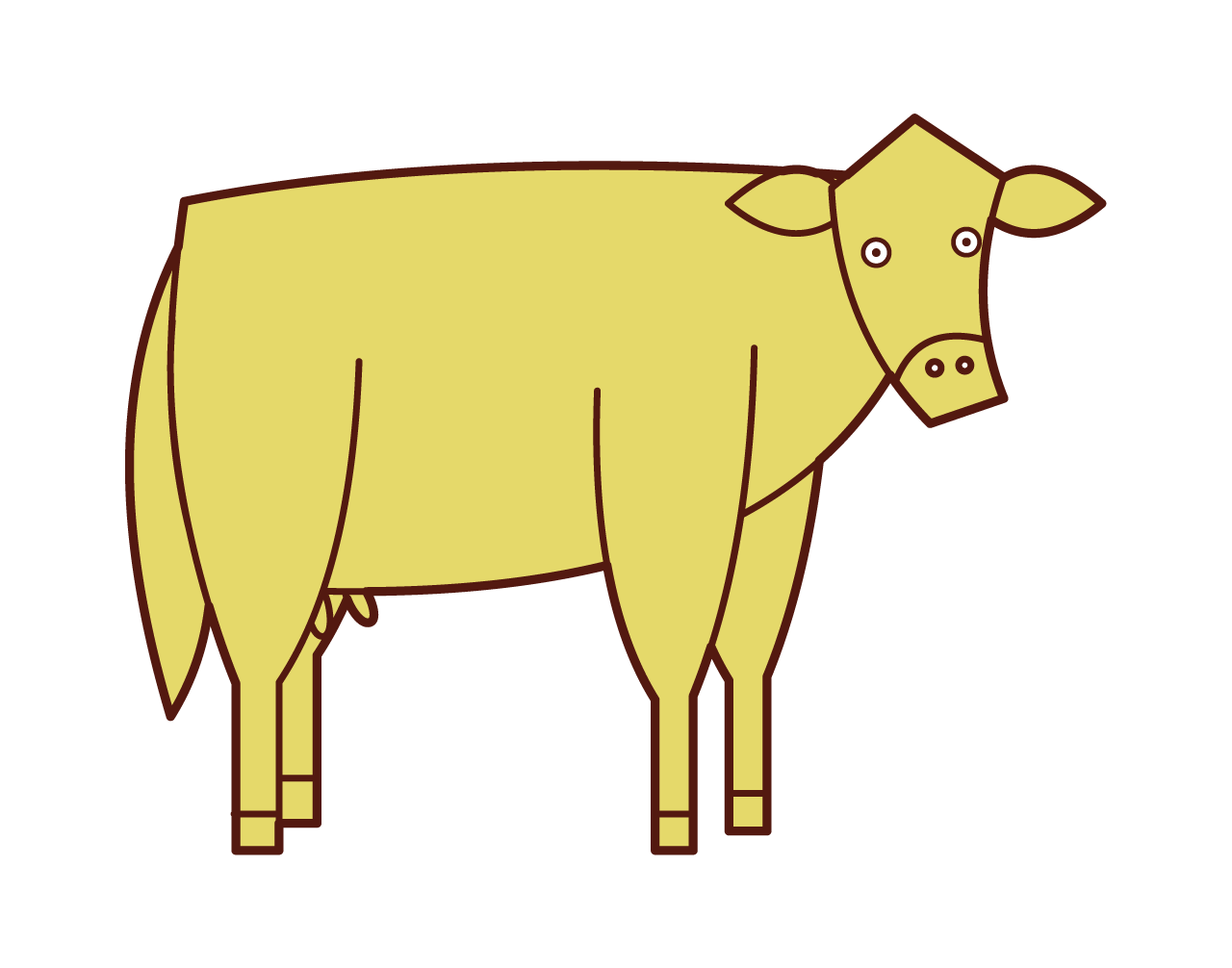 소의 삽화