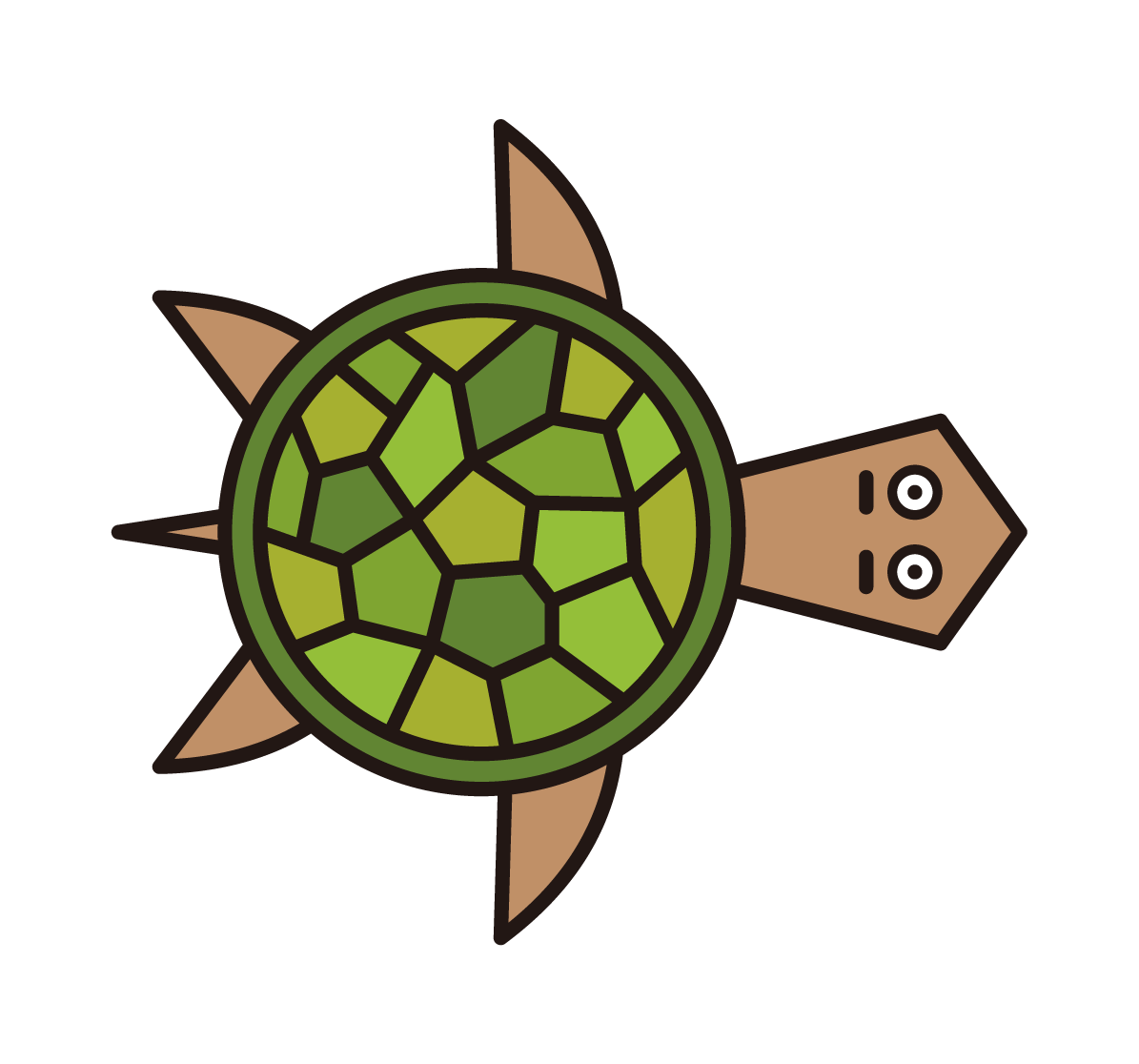 Illustration of sea turtles