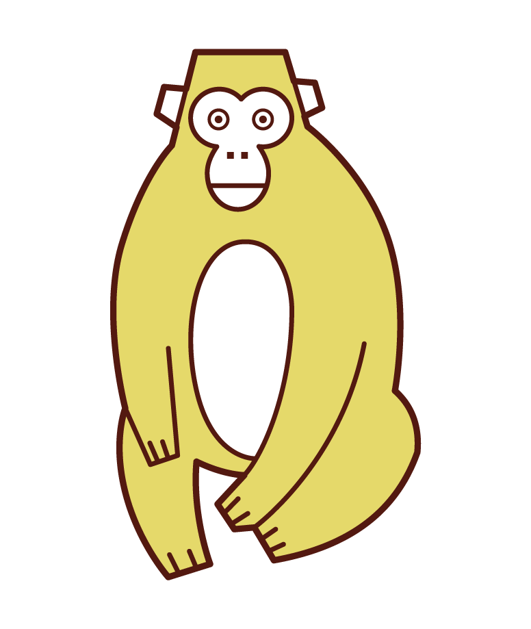 猴子插圖