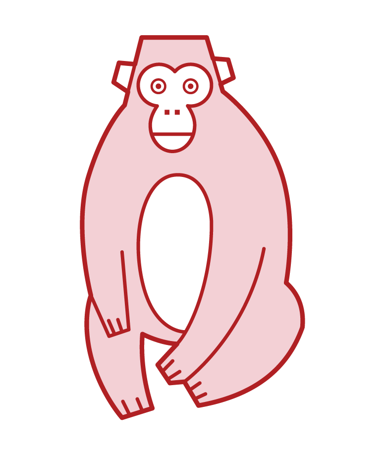 猴子插圖