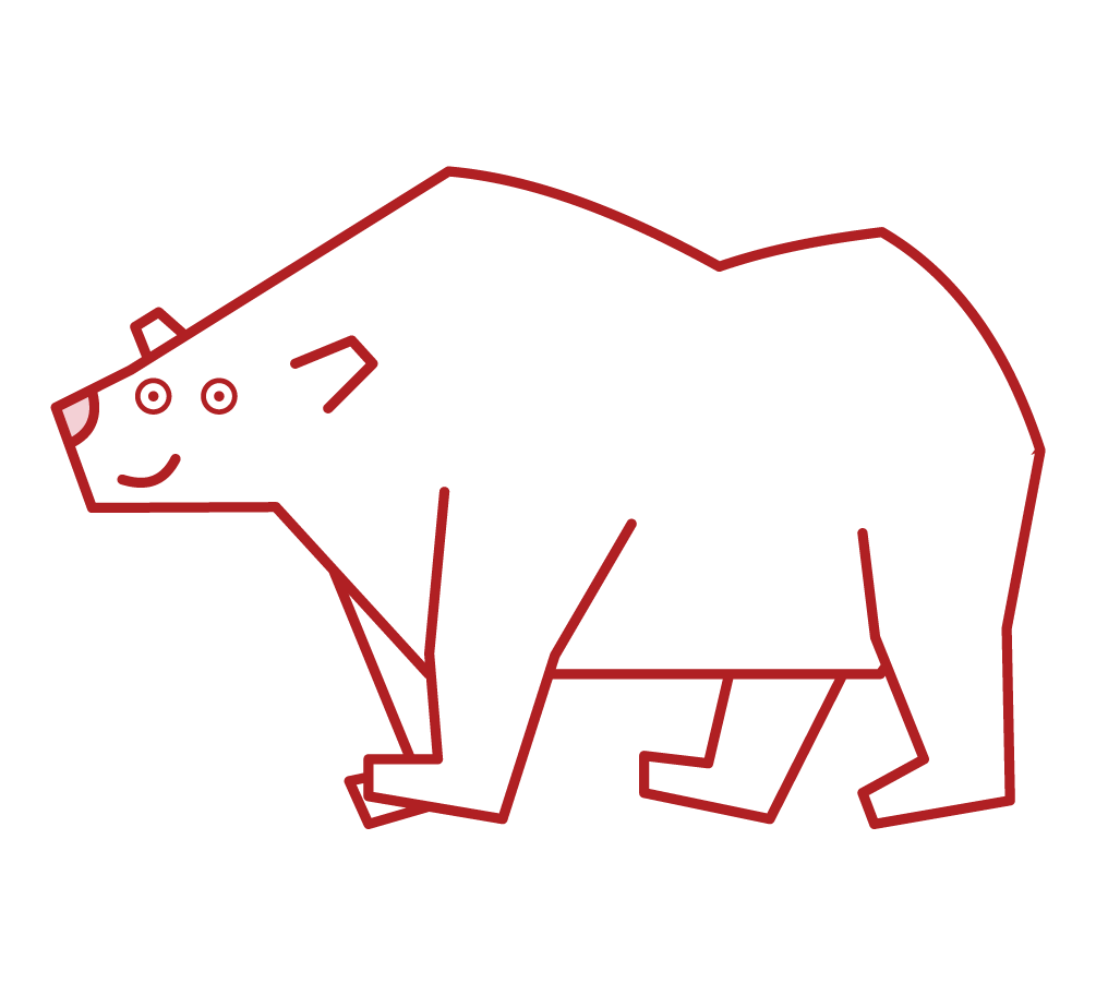 北極熊插圖