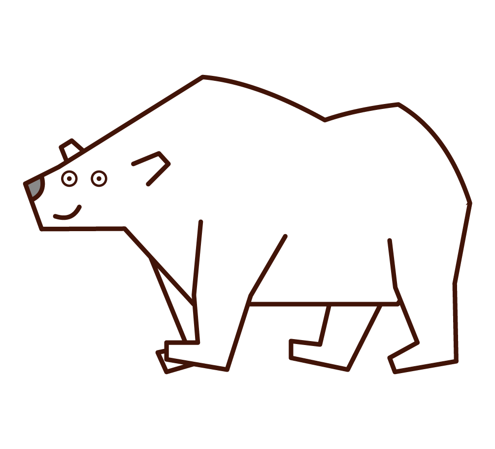 北極熊插圖