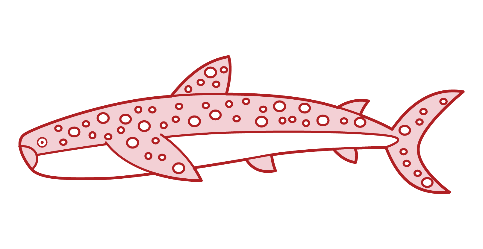 鯨鯊插圖