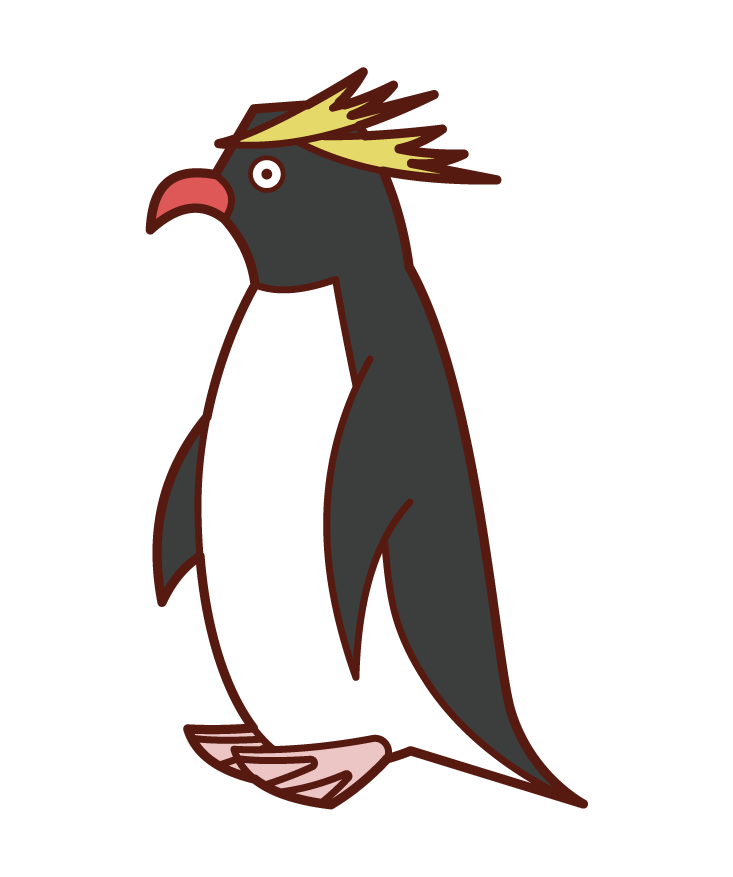 イワトビペンギンのイラスト