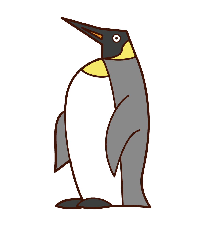 オウサマペンギンのイラスト