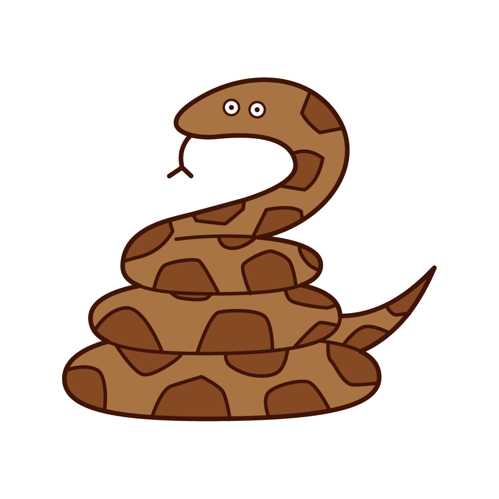 Illustration of python