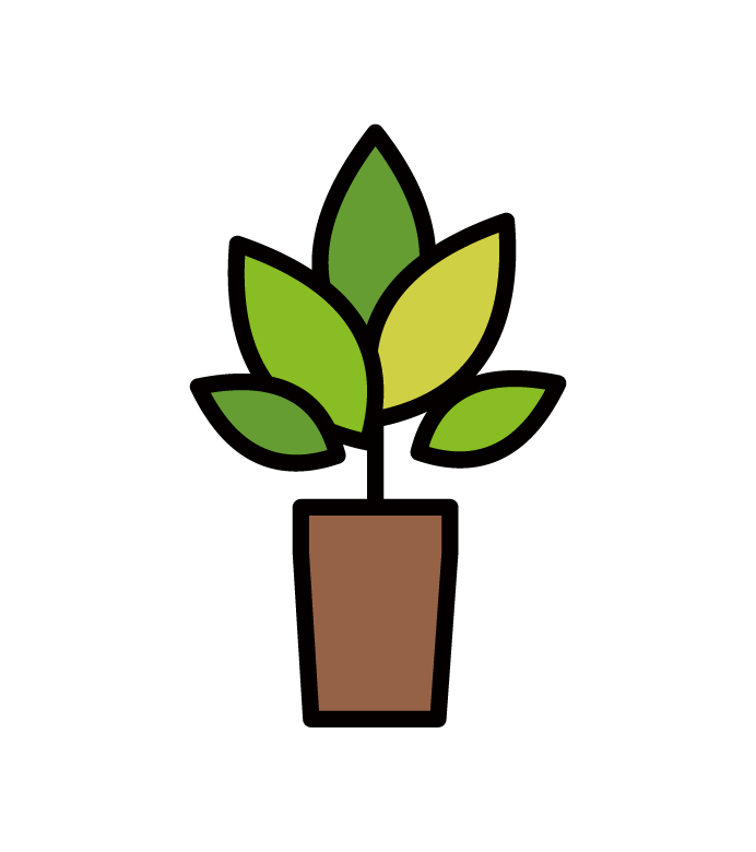 식물의 삽화