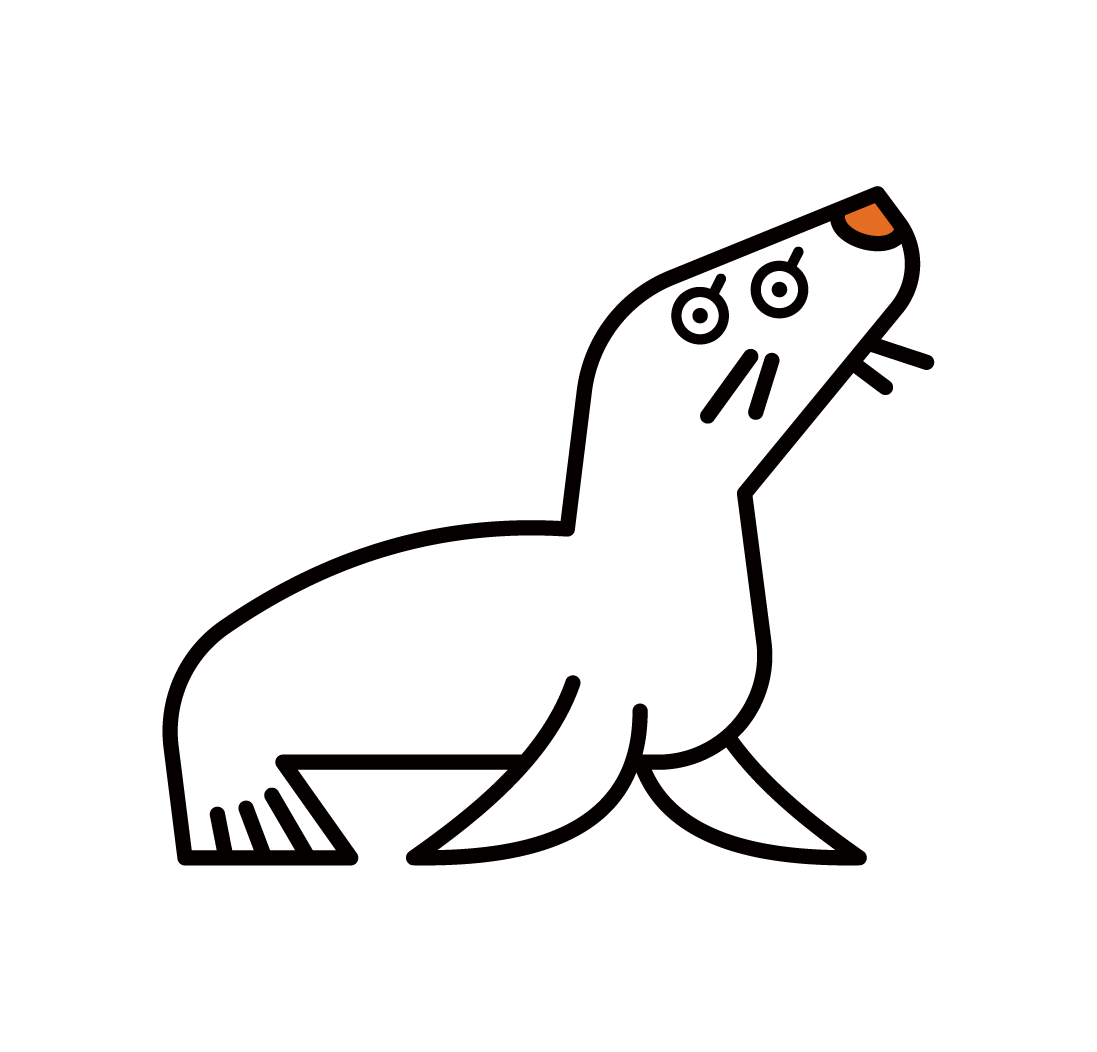 海獅海豹插圖
