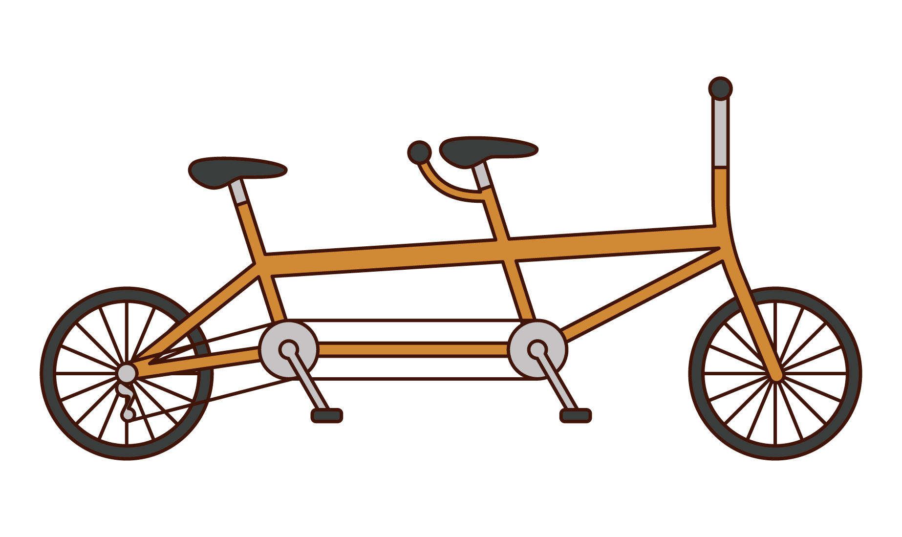 Illustration of tandem bicycle