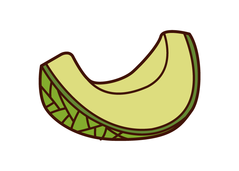 Illustration of cut melon