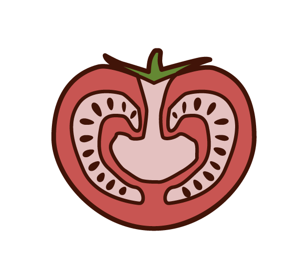 Illustration of cut tomatoes