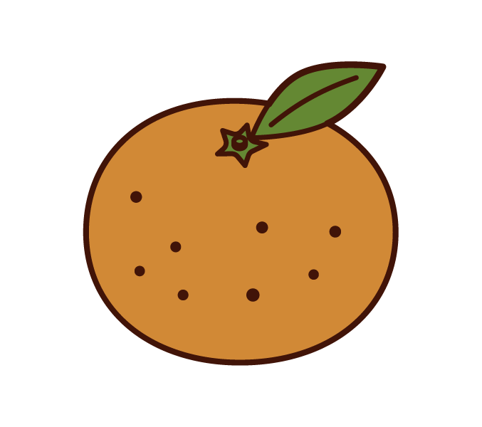 橘子插圖