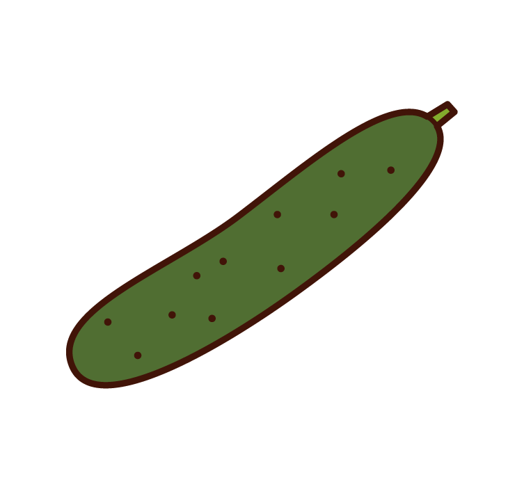 Illustrations of cucumbers