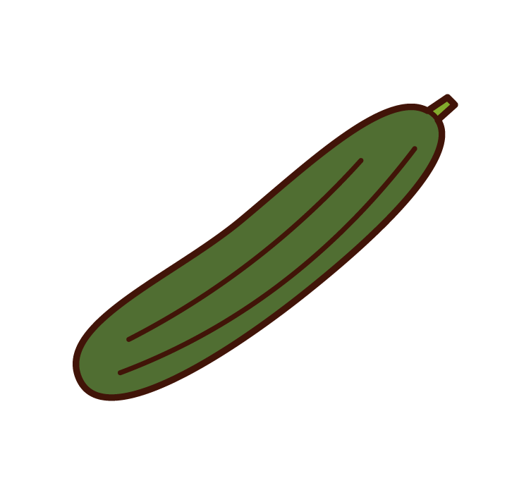 黃瓜插圖