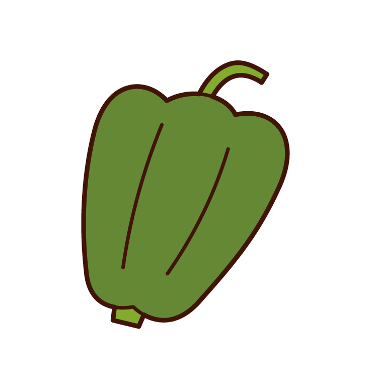Green Pepper Illustrations