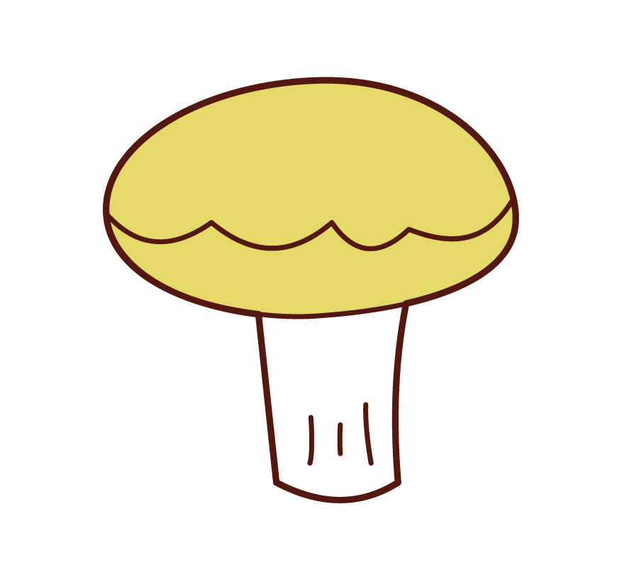 蘑菇插圖