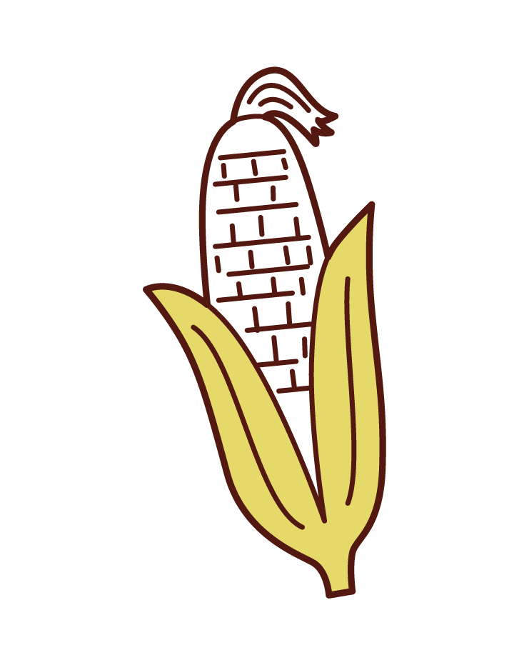 玉米插圖