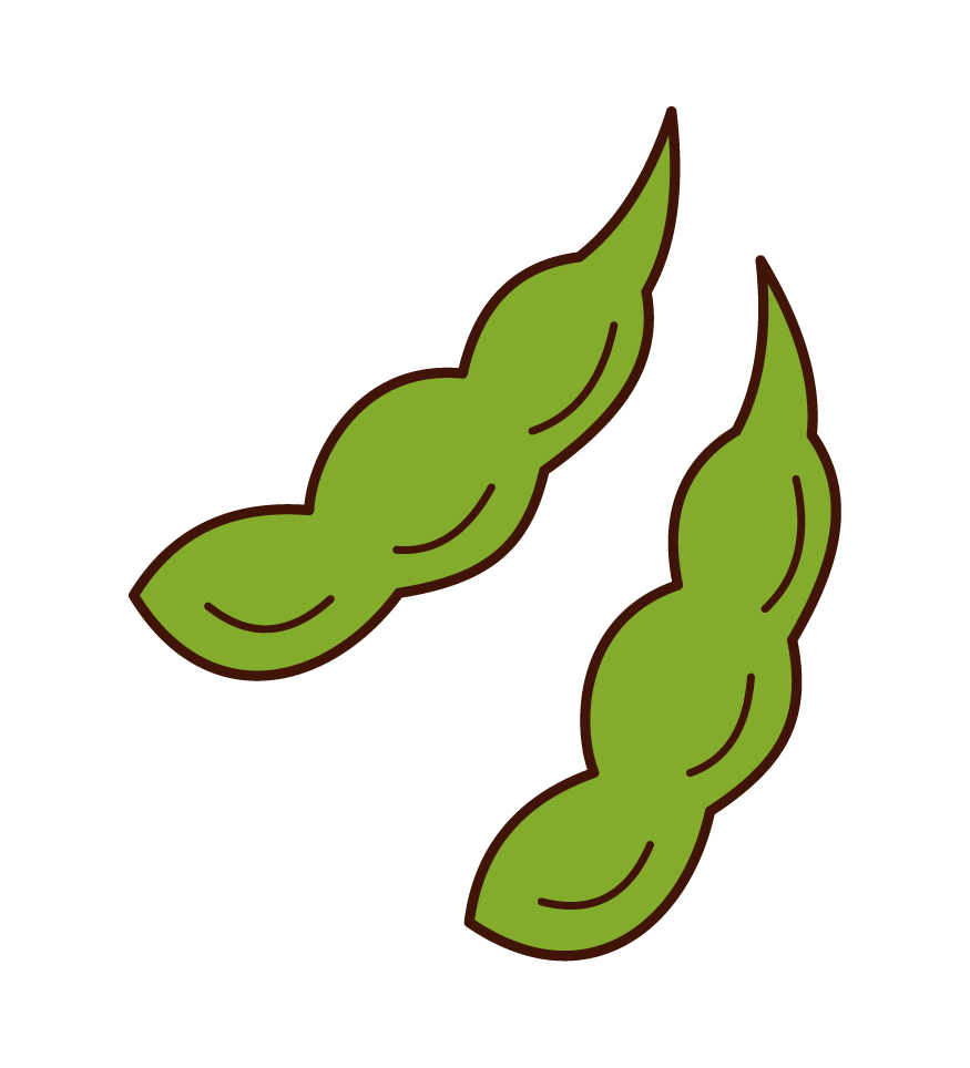 綠豆插圖