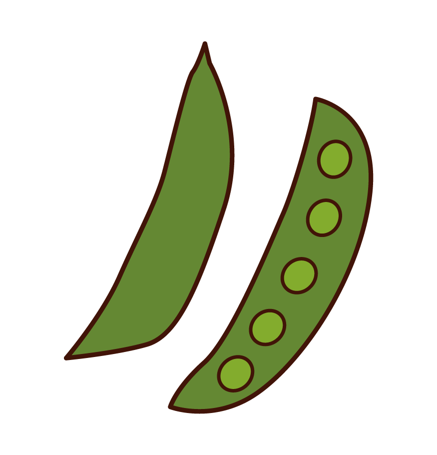 豌豆插圖