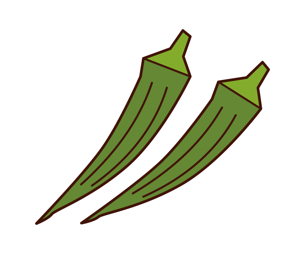 Okra Illustrations