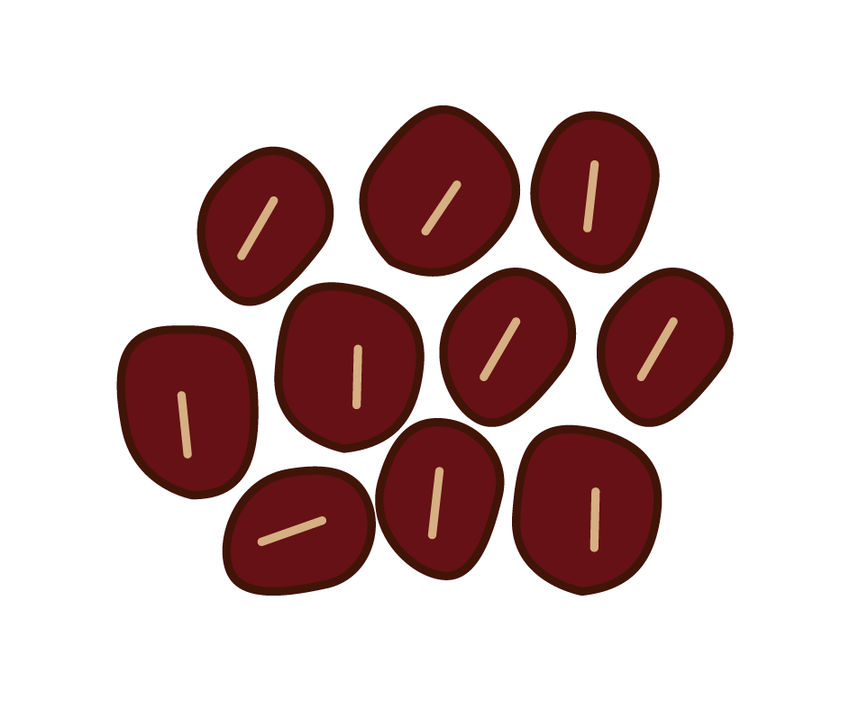 Illustration of red beans