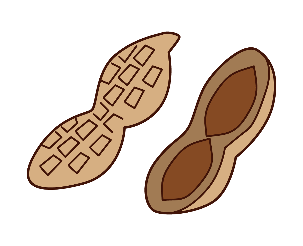땅콩의 삽화