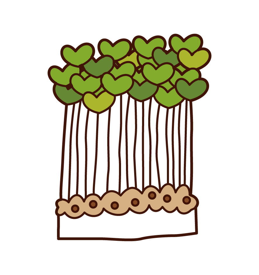 Illustration of sprouts