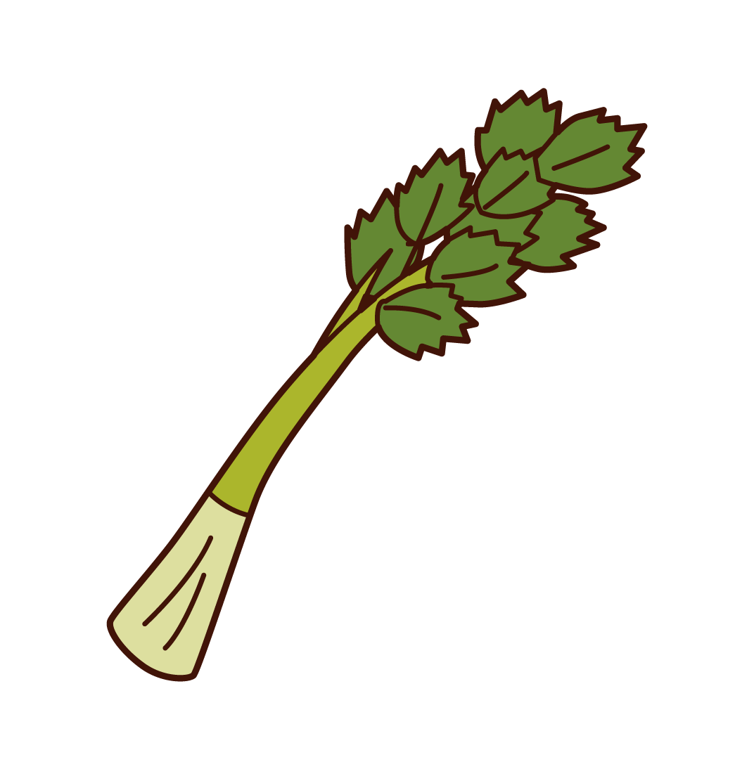 Celery Illustrations