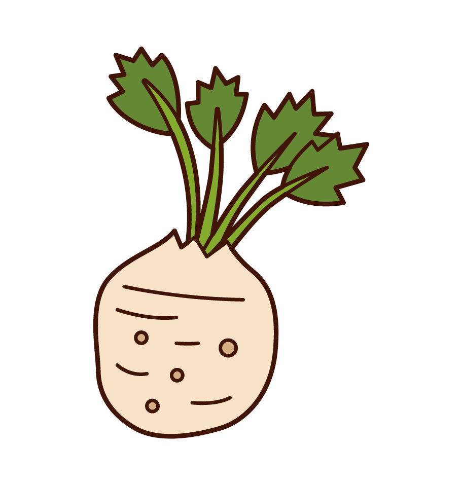 Illustration of carrots