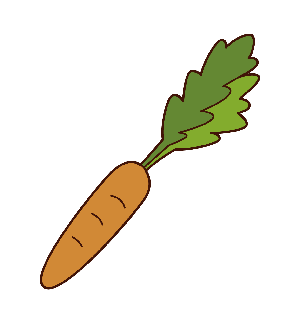 胡蘿蔔插圖