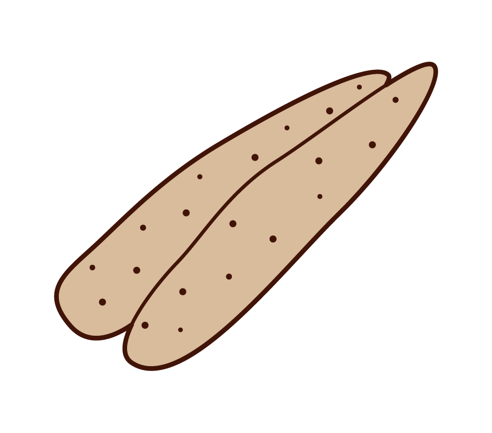 Illustration of a sweet potato