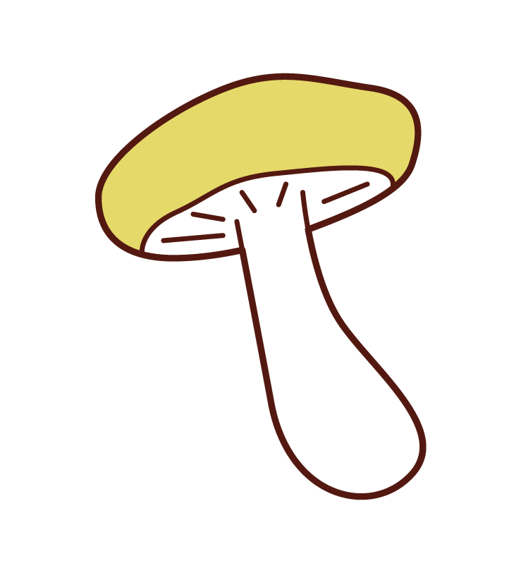 蘑菇插圖