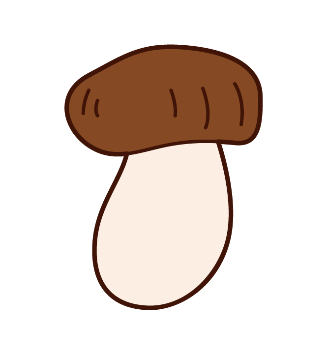 Illustration of matsutake mushrooms