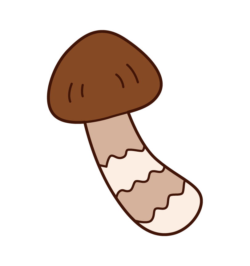 Illustration of matsutake mushrooms
