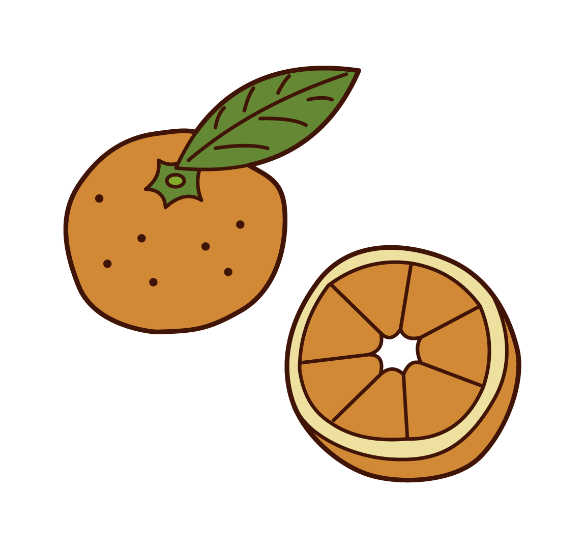 Illustrations of Wenzhou Mandarin Oranges