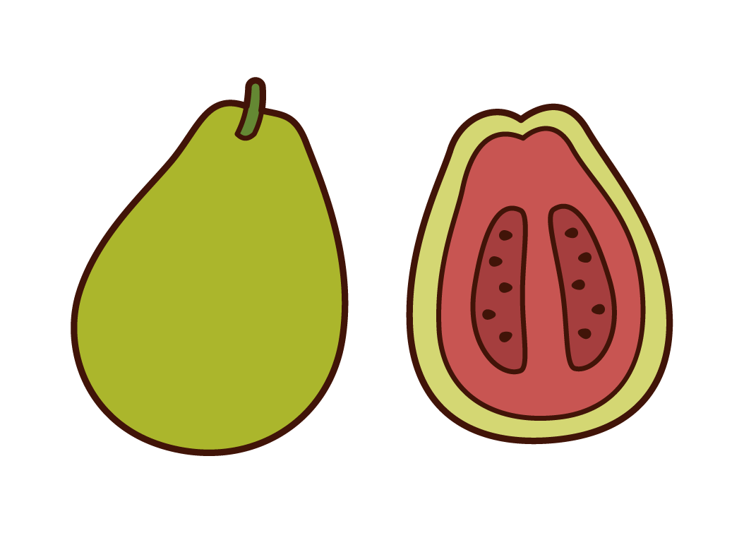 Guava Illustrations