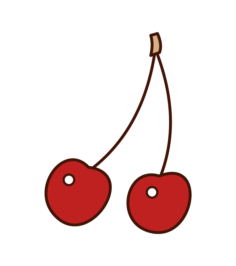 Pomegranate Illustrations