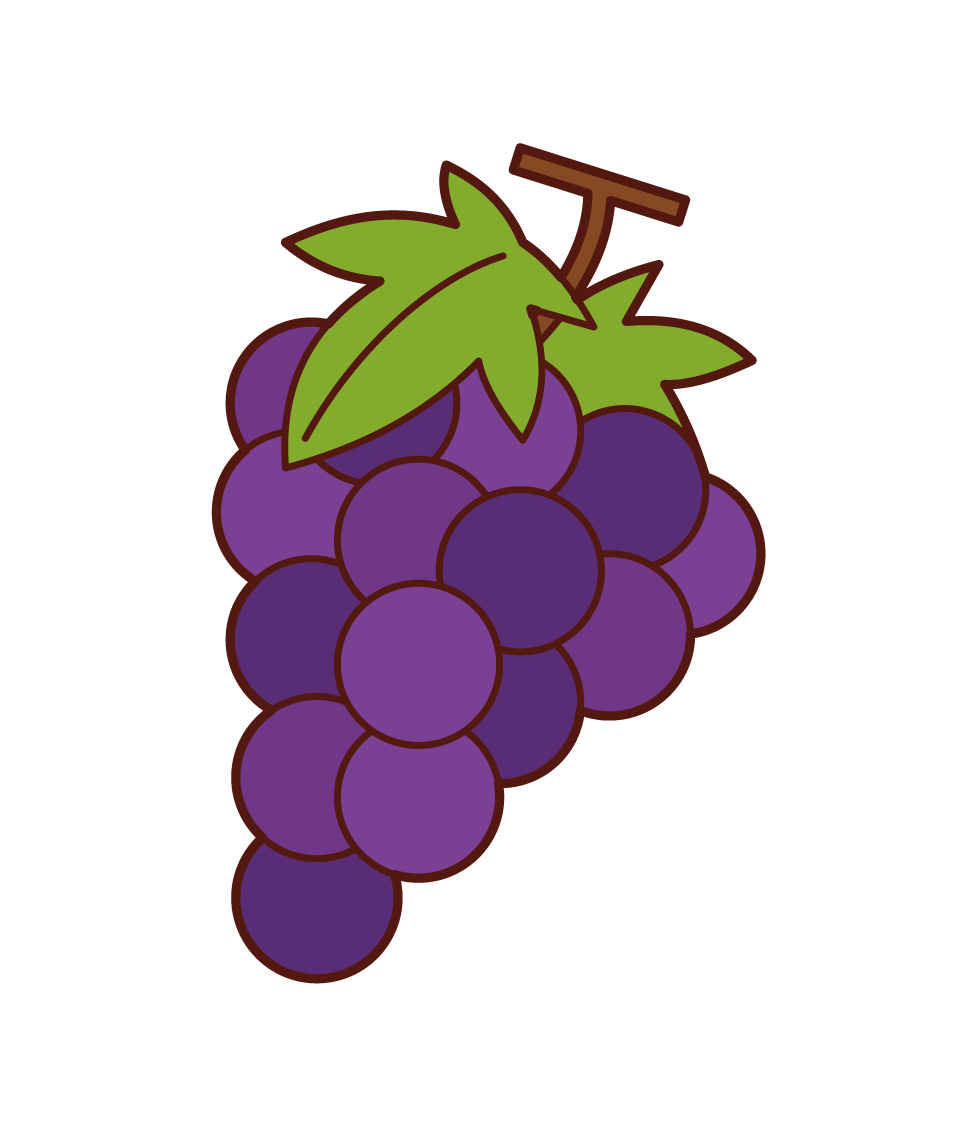 Grape Illustrations