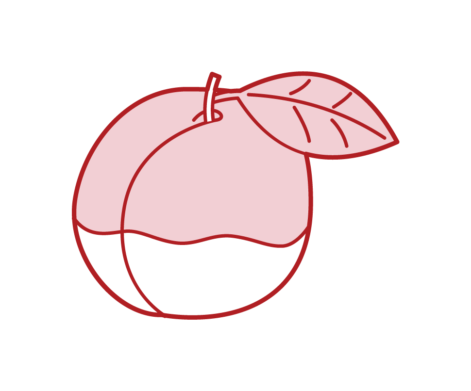 桃子插圖