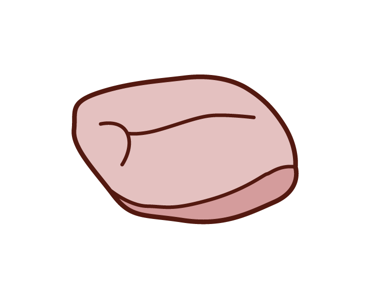 Illustration of bird peach meat