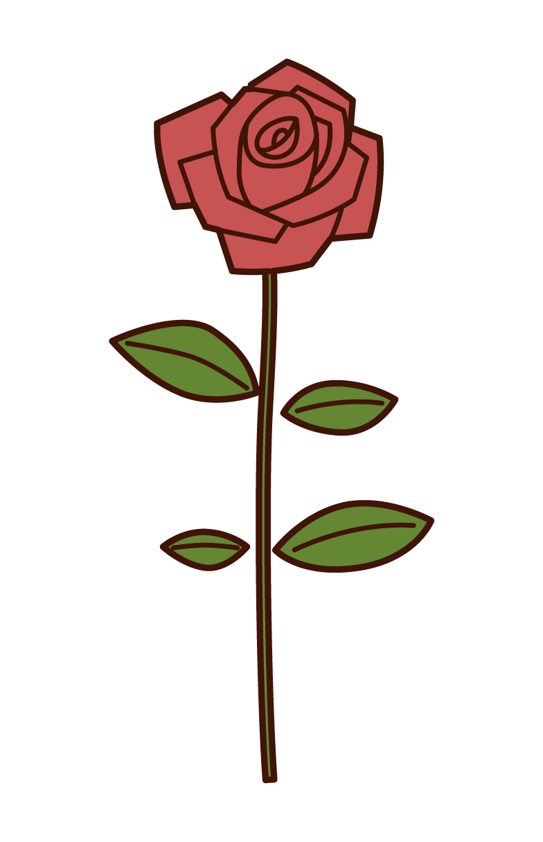 一朵玫瑰的插圖