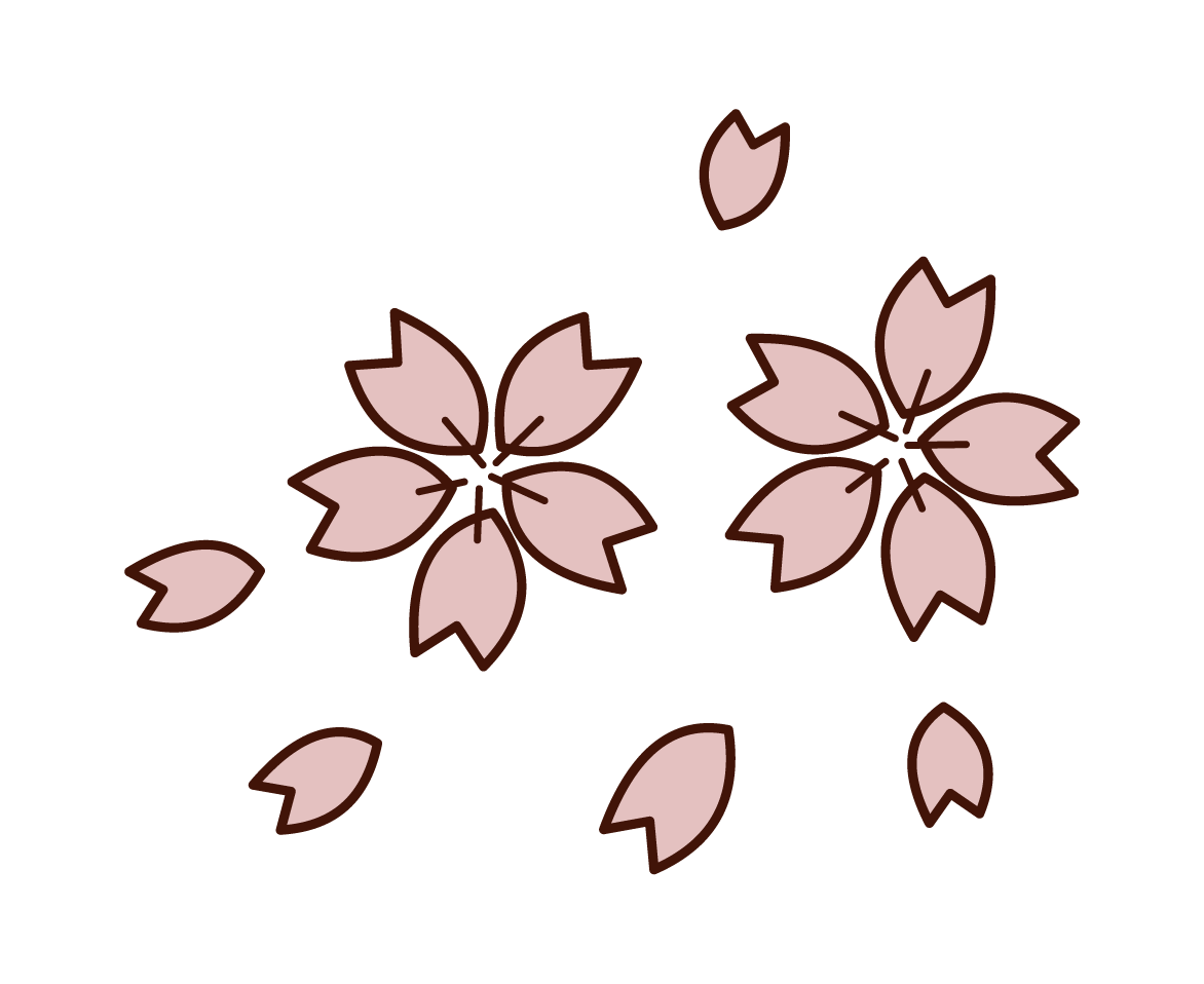 Illustration of cherry blossom petals