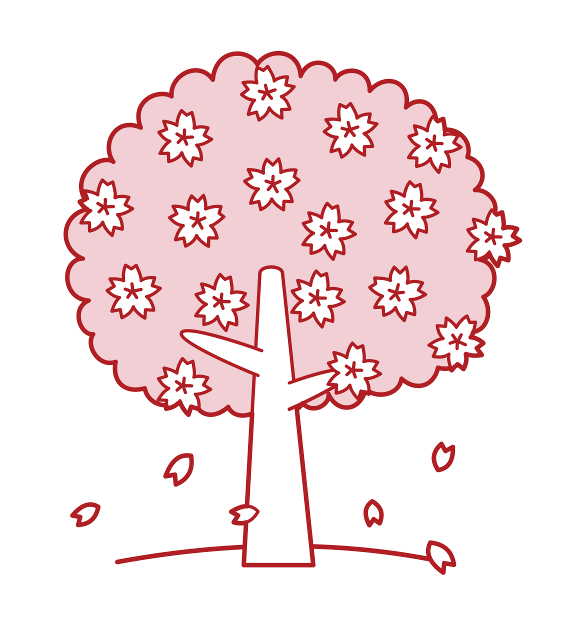櫻桃樹插圖