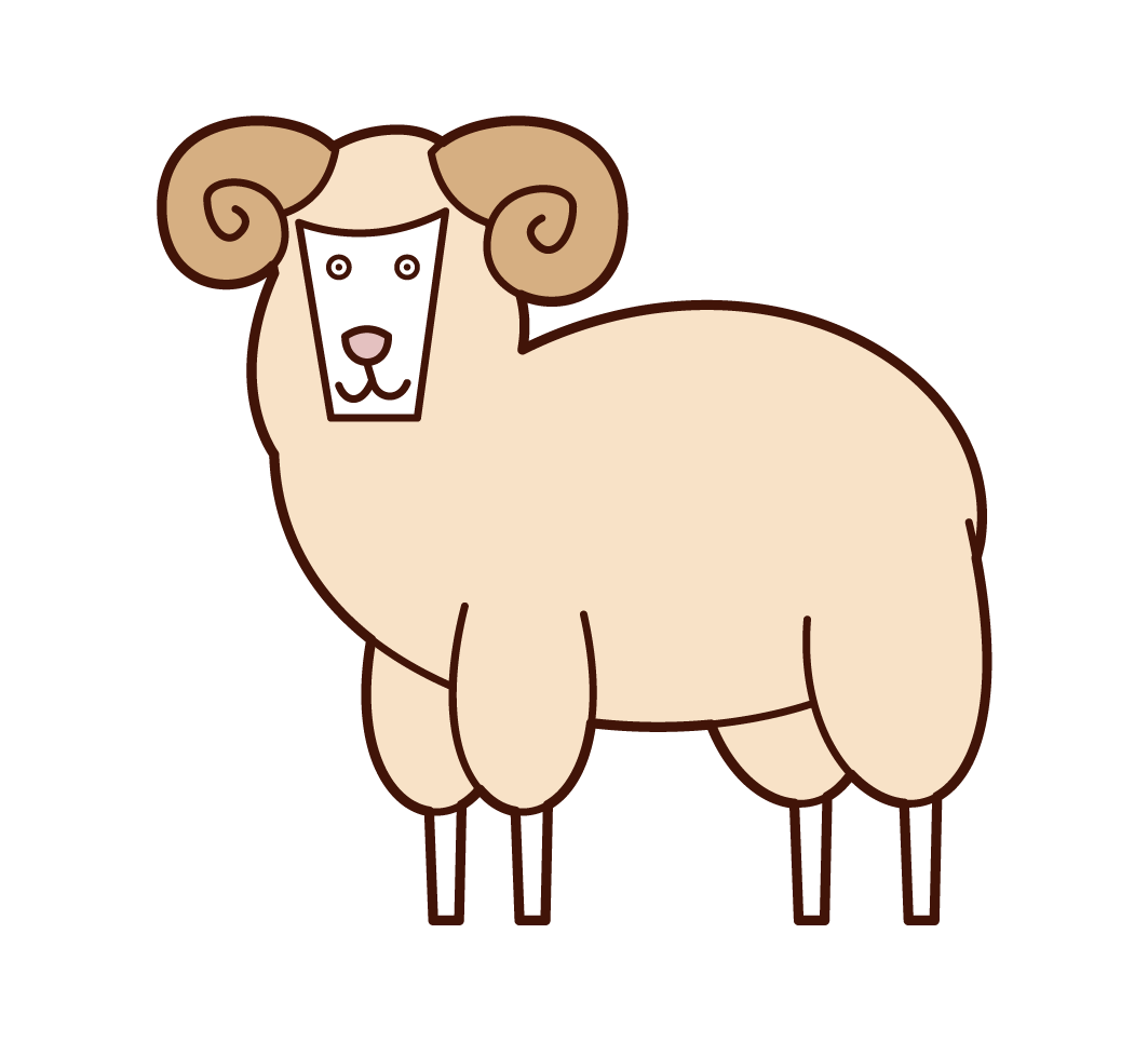 Illustration of sheep