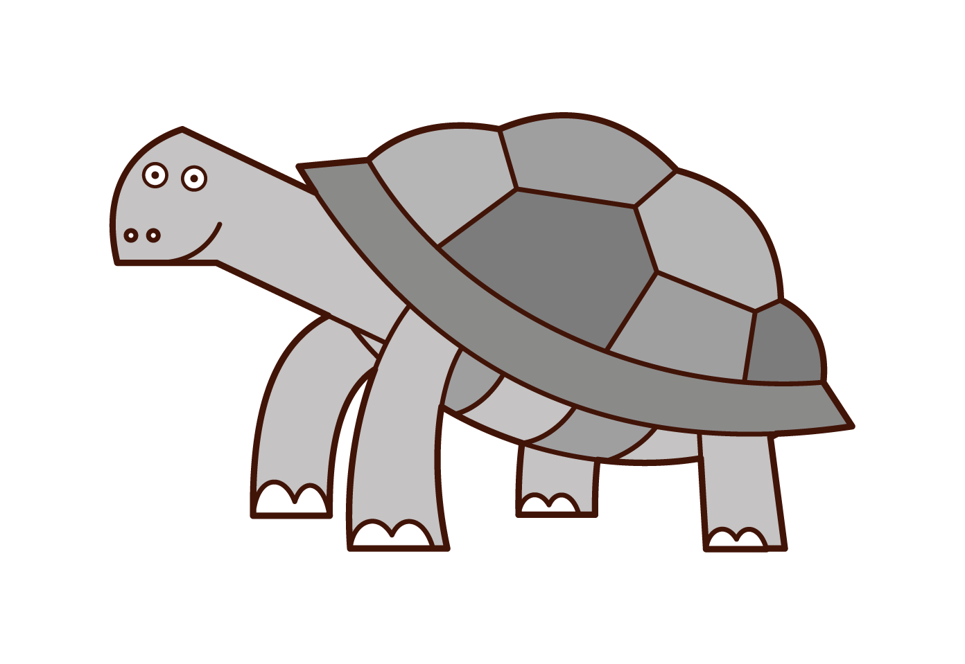 阿爾達布拉海龜插圖