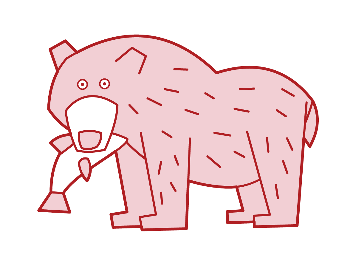 印有魚的熊插圖