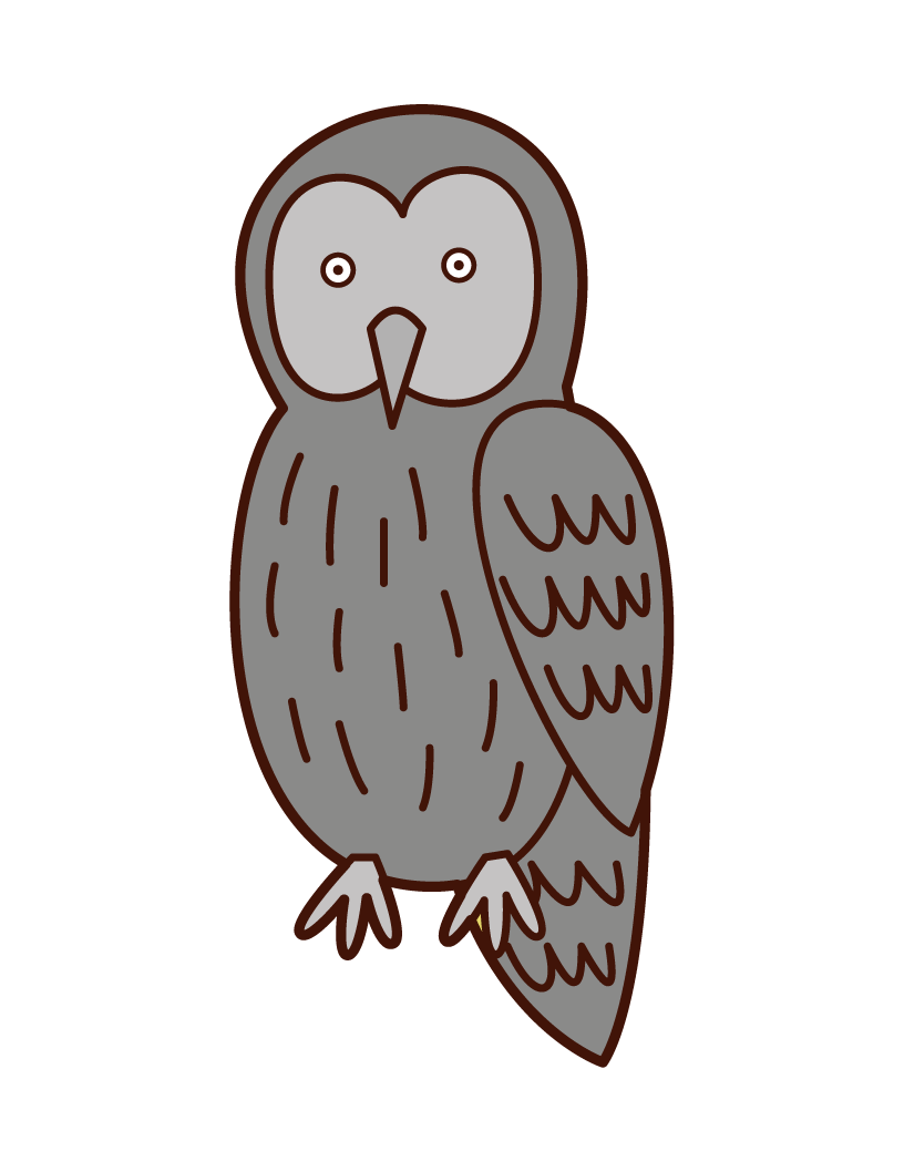 Illustration of an owl